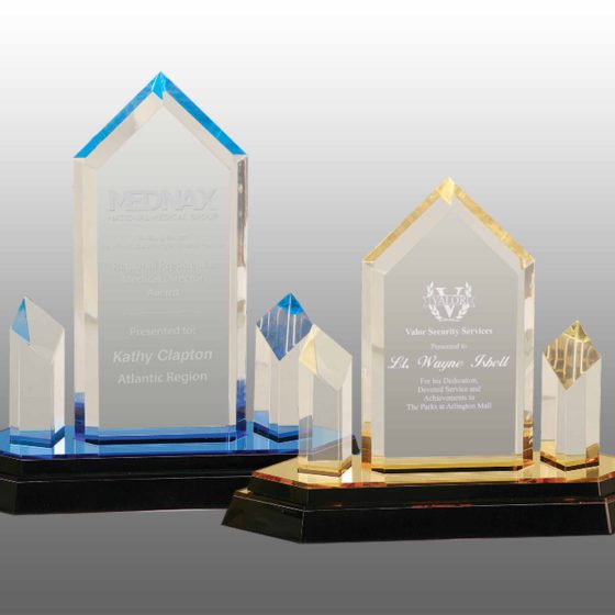 Acrylic trophy