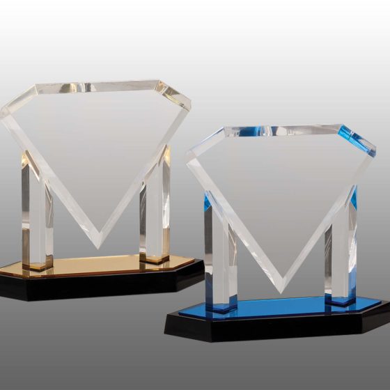 Acrylic trophy